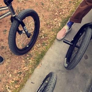 Meet your Posher, Moises